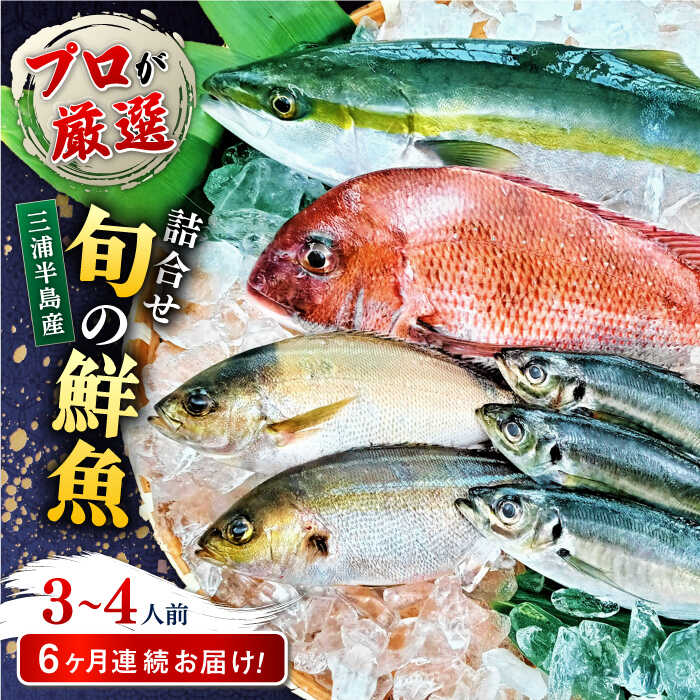 【ふるさと納税】【全6回定期便】旬のおまかせ 厳選鮮魚セット 3〜4人前(2〜3魚種) 【長井水産株式会社】[AKAJ016]のサムネイル