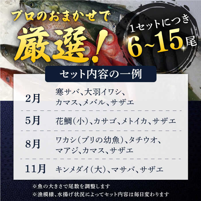 【ふるさと納税】【全3回 隔月 定期便】旬のおまかせ 厳選鮮魚セット 3〜4人前(2〜3魚種) 三浦半島産 旬の鮮魚 詰め合わせ セット プロが厳選 横須賀 鮮度抜群 海の幸 生魚 定期 海鮮 魚介 獲れたて【長井水産株式会社】[AKAJ017]