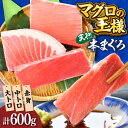 【ふるさと納税】天然 本まぐろ 大トロ・中トロ・赤身 約200g×3柵 約600g【横須賀商工会議所 おもてなしギフト事務局(本まぐろ直売所)】天然まぐろ まぐ...