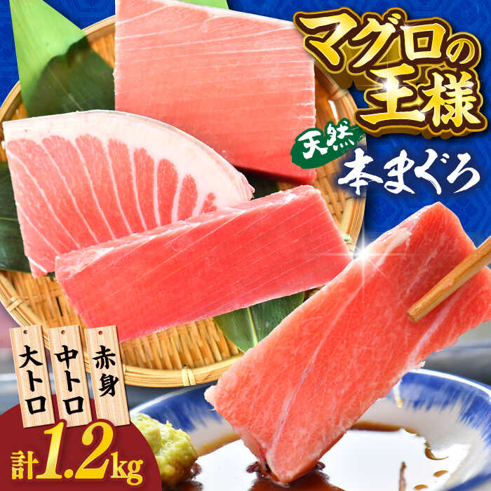 天然 本まぐろ 大トロ・中トロ・赤身 約200g×6柵 約1200g[横須賀商工会議所 おもてなしギフト事務局(本まぐろ直売所)]天然まぐろ まぐろ マグロ 鮪 本マグロ 大とろ 中とろ とろ トロ 赤身 柵 [AKAK019]