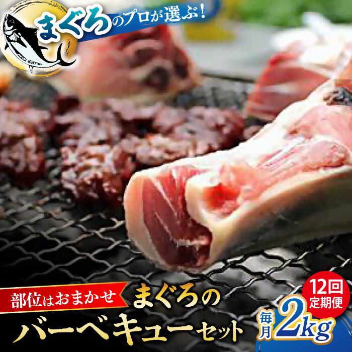 【ふるさと納税】【全12回定期便】まぐろ おまかせバーベキューセット 冷凍約2kg 鮪 マグロ BB ...
