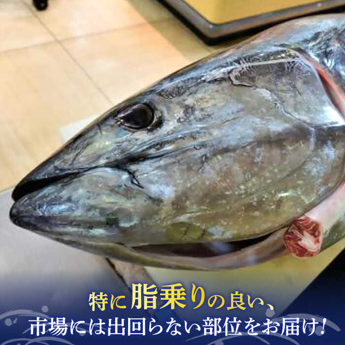 【ふるさと納税】【全12回定期便】まぐろ おまかせバーベキューセット 冷凍約3kg 鮪 マグロ BBQ 魚 横須賀【横須賀商工会議所 おもてなしギフト事務局（本まぐろ直売所 横須賀本店）】[AKAK034]