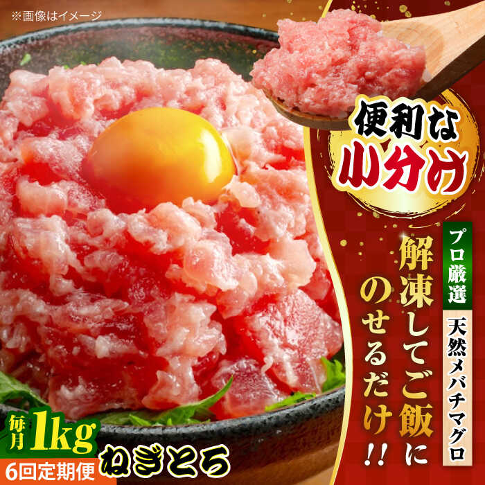 【ふるさと納税】【全6回定期便】まぐろ ねぎとろ 約1kg（約250g×4パック） 鮪 マグロ 魚 ネギトロ 横須賀【本まぐろ直売所】[AKAK036]のサムネイル