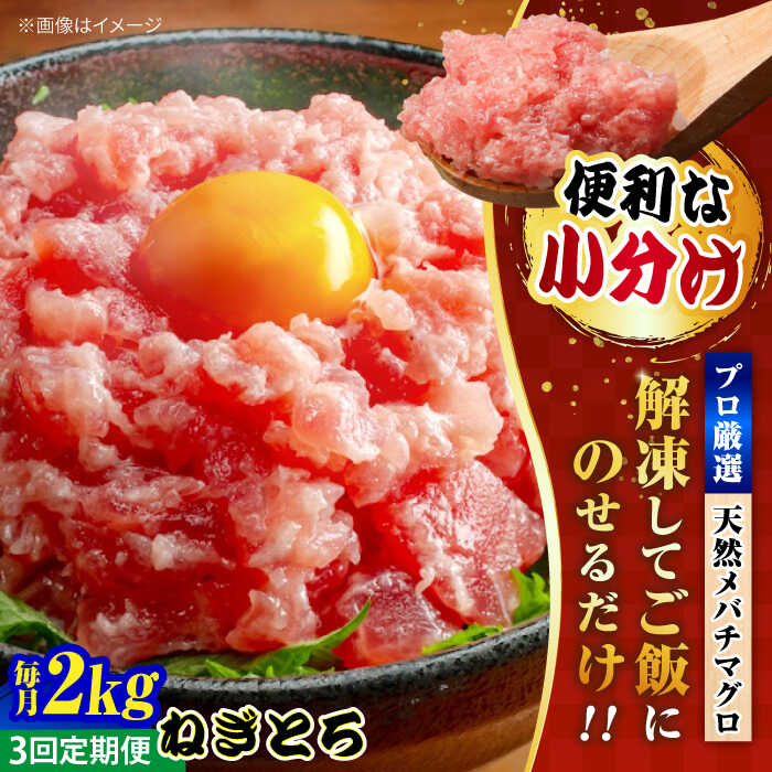 【ふるさと納税】【全3回定期便】まぐろ ねぎとろ 約2kg（約250g×8パック） 鮪 マグロ 魚 ネギトロ 横須賀【本まぐろ直売所】[AKAK038]