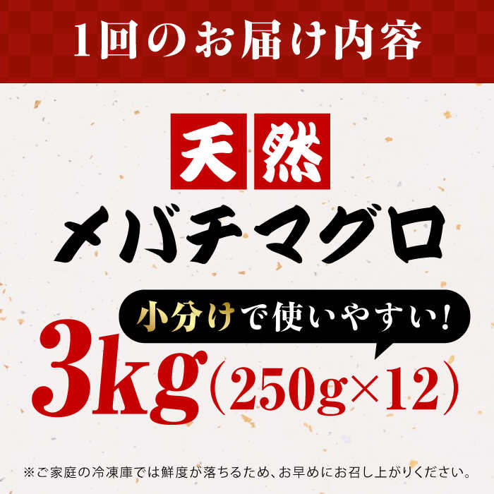 【ふるさと納税】【全12回定期便】まぐろ ねぎとろ 約3kg（約250g×12パック） 鮪 マグロ 魚 ネギトロ 横須賀【横須賀商工会議所 おもてなしギフト事務局（本まぐろ直売所 横須賀本店）】[AKAK043]