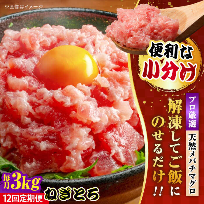 【ふるさと納税】【全12回定期便】まぐろ ねぎとろ 約3kg（約500g×6パック） 鮪 マグロ 魚 ネギトロ 横須賀【本まぐろ直売所】[AKAK043]のサムネイル