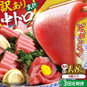 【ふるさと納税】【全3回定期便】【訳あり】天然 まぐろ 中トロ メバチ 計約1.8kg (8柵入り) マグロ 定期 鮪 まぐろ 中とろ 刺身 定期便 横須賀 規...