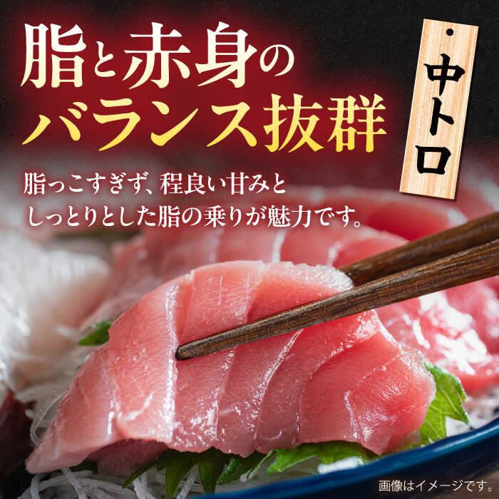 【ふるさと納税】【全6回定期便】【訳あり】天然 本まぐろ 中トロスジ（約1kg） マグロ 定期 鮪 まぐろ 中とろ 刺身 定期便 横須賀 規格外 【本まぐろ直売所】[AKAK069]