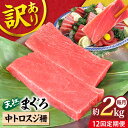 【ふるさと納税】【全12回定期便】【訳あり】天然 本まぐろ 中トロ 計約1.8kg (8柵入り) マグロ 定期 鮪 まぐろ 中とろ 刺身 定期便 横須賀 規格外...