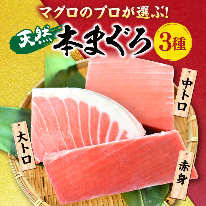 【ふるさと納税】【全3回定期便】天然 本まぐろ 大トロ・中トロ・赤身（約200g×3柵）約600g 鮪 マグロ 魚 刺身 横須賀 【本まぐろ直売所】[AKAK074]