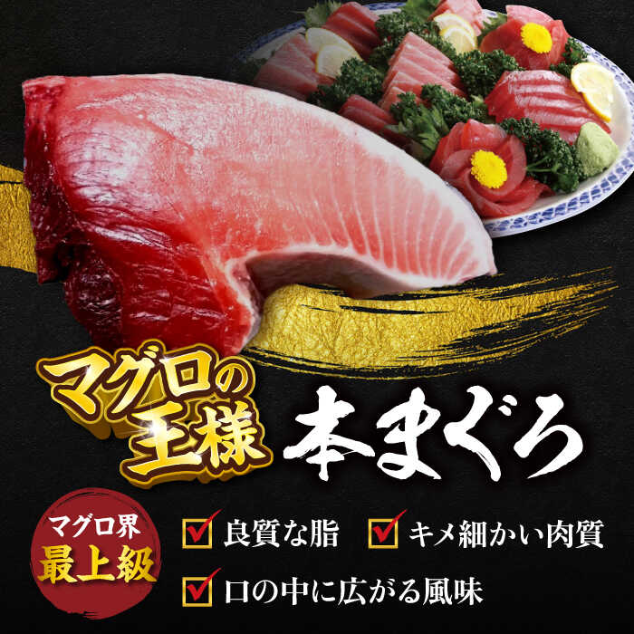 【ふるさと納税】【全3回定期便】天然 本まぐろ 大トロ・中トロ・赤身（約200g×3柵）約600g 鮪 マグロ 魚 刺身 横須賀 【本まぐろ直売所】[AKAK074]