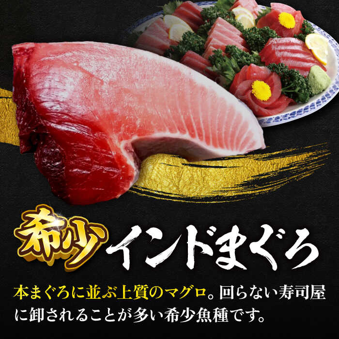 【ふるさと納税】【全3回定期便】天然 まぐろ 大トロ・中トロ・赤身（約200g×3柵）約600g 鮪 マグロ 魚 刺身 横須賀【本まぐろ直売所】[AKAK080]