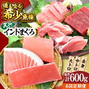 【ふるさと納税】【全6回定期便】天然 まぐろ 大トロ・中トロ・赤身(約200g×3柵)約600g 鮪 マグロ 魚 刺身 横須賀【横須賀商工会議所 おもてなしギフ...