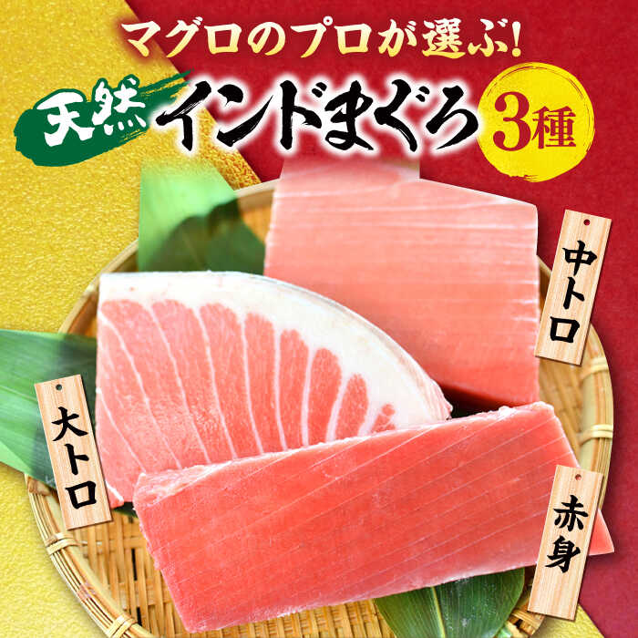 【ふるさと納税】【全12回定期便】天然 まぐろ 大トロ・中トロ・赤身（約200g×3柵）約600g 鮪 マグロ 魚 刺身 横須賀【横須賀商工会議所 おもてなしギフト事務局（本まぐろ直売所 横須賀本店）】[AKAK082]