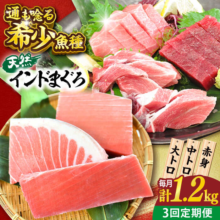 【ふるさと納税】【全3回定期便】天然 まぐろ 大トロ・中トロ・赤身（約200g×6柵）約1200g 鮪 マグロ 魚 刺身 横須賀【本まぐろ直売所】[AKAK083]