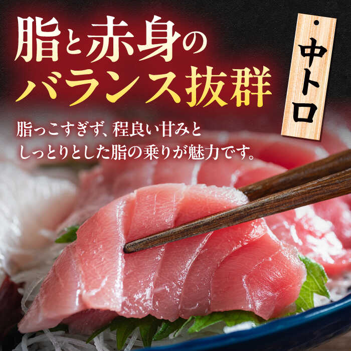 【ふるさと納税】【全3回定期便】【訳あり】天然 まぐろ 中トロ メバチ （約450〜500g（2柵入り））鮪 マグロ まぐろ 魚 刺身 中とろ さしみ 横須賀 【横須賀商工会議所 おもてなしギフト事務局（本まぐろ直売所 横須賀本店）】[AKAK091]