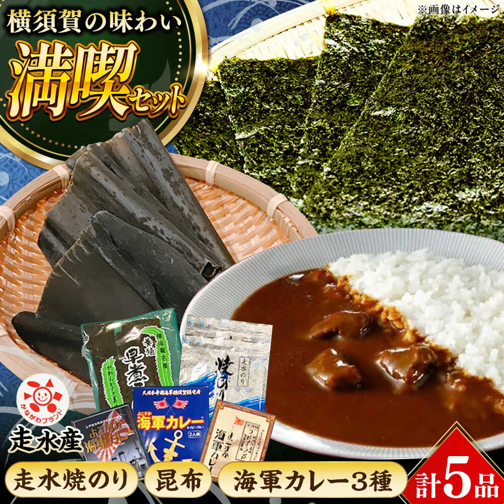 走水 焼のり 2帖（10枚×2） ・ 昆布 100g ・ カレー 3種 詰め合わせ【株式会社向井製茶問屋】[AKBB006]