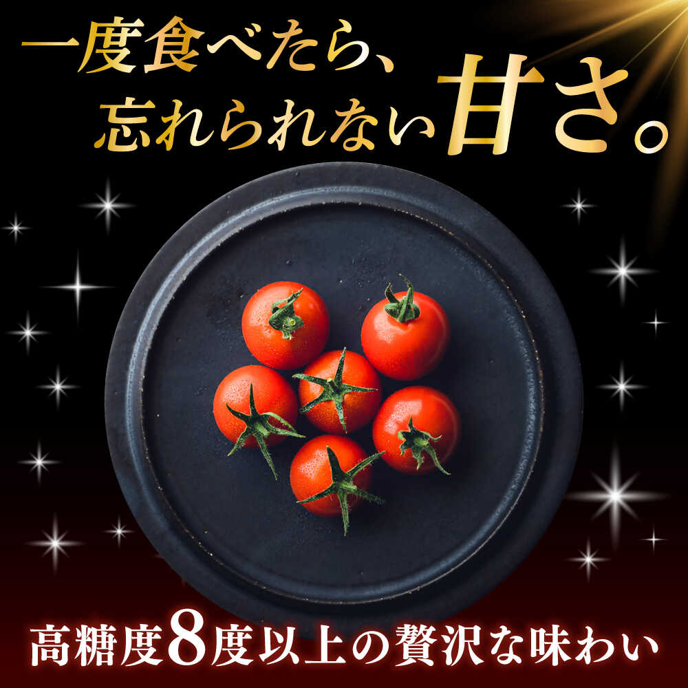 【ふるさと納税】【先行予約】V トマト 糖度8度以上 800g フルーツトマト とまと 濃厚 高糖度 高栄養 限定【株式会社ブイ・テクノロジー】神奈川 横須賀 野菜 サラダ 子ども 食卓 [AKBL004]