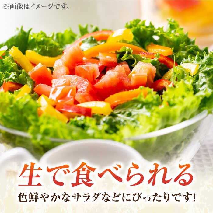 北海道産 大豆 1kg