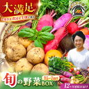 【ふるさと納税】【全12回定期便】すずなり採れたて野菜BOX(5〜7品目)野菜セット 詰め合わせ 季節野菜 やさい 産地直送 旬 新鮮 定期 定期便 横須賀【鈴...