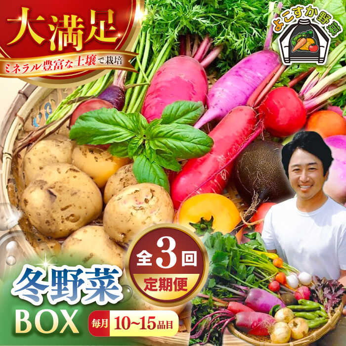 【ふるさと納税】【先行予約】【全3回定期便】すずなり採れたて野菜BOX　(10〜15品)　冬（12月〜2月）【鈴也ファーム】[AKCE006]