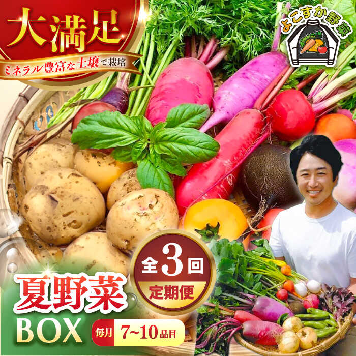 【ふるさと納税】【先行予約】【全3回定期便】すずなり採れたて野菜BOX　(7〜10品) 夏（5月〜7月）【鈴也ファーム】[AKCE007]