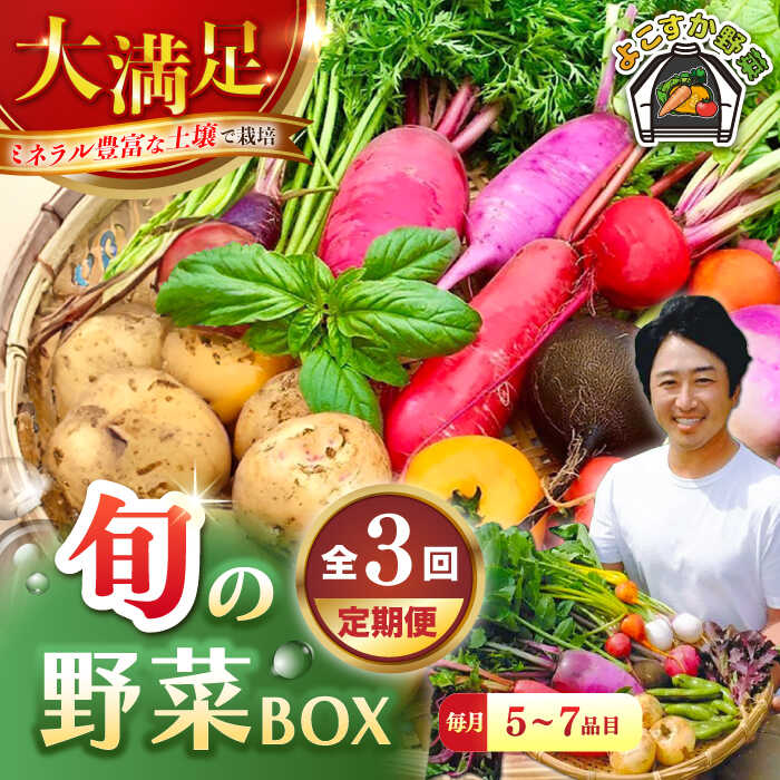 [全3回定期便]すずなり採れたて野菜BOX (5〜7品)[鈴也ファーム][AKCE011]
