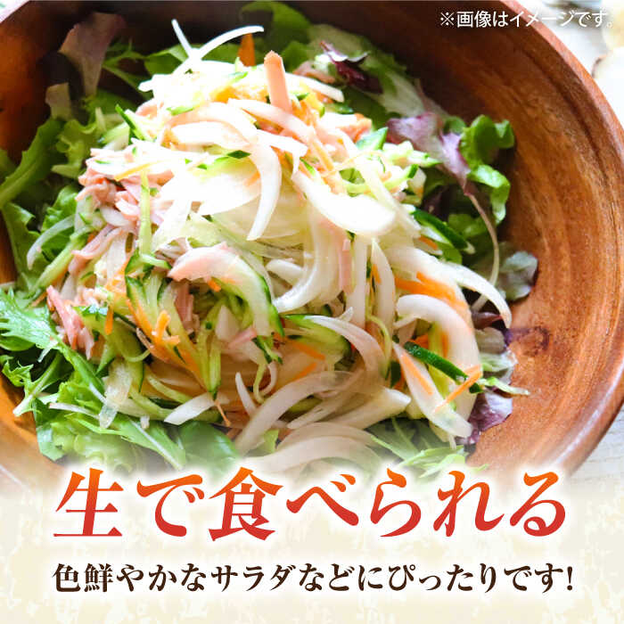 【ふるさと納税】【先行予約】【数量限定】新玉ねぎ　約5kg（3月〜4月）【鈴也ファーム】[AKCE019]