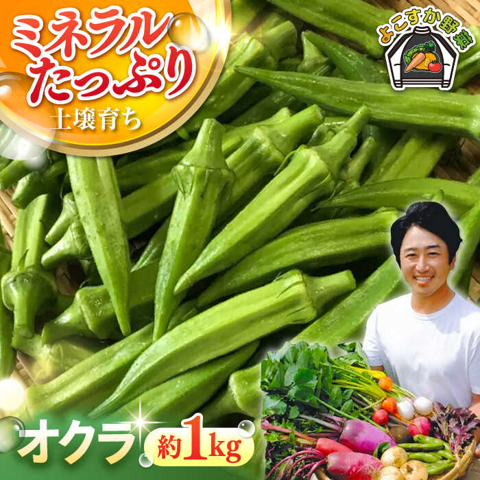 [先行予約][数量限定]オクラ 約1kg(7月)[鈴也ファーム][AKCE023] 7000円 7千円