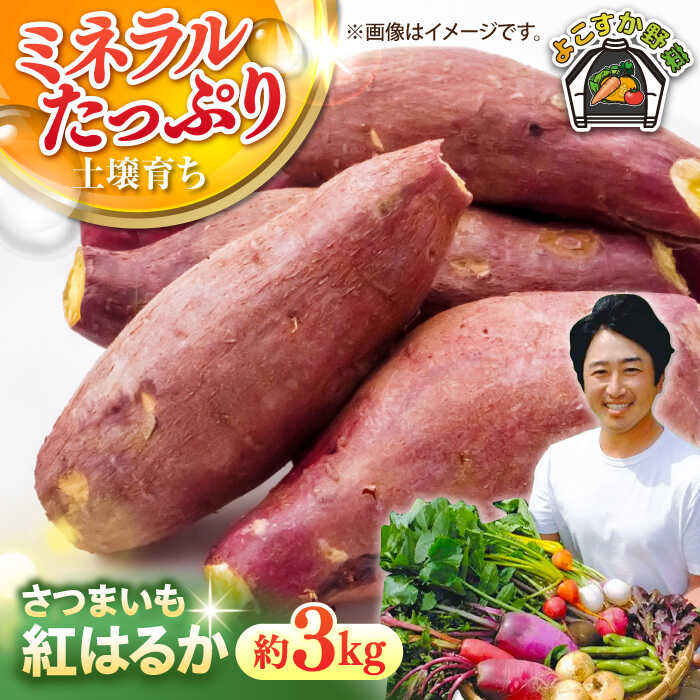 ڤդ뤵ǼǡۡͽۤĤޤ⡡ȤϤ뤫3kg1012ˡե[AKCE024] 8000 8