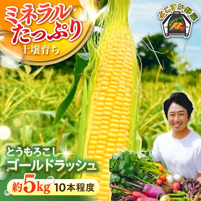 ڤդ뤵Ǽǡۡͽۡڿ̸ۤȤɥå塡Ѥߡ10١5kg78ˡե[AK...