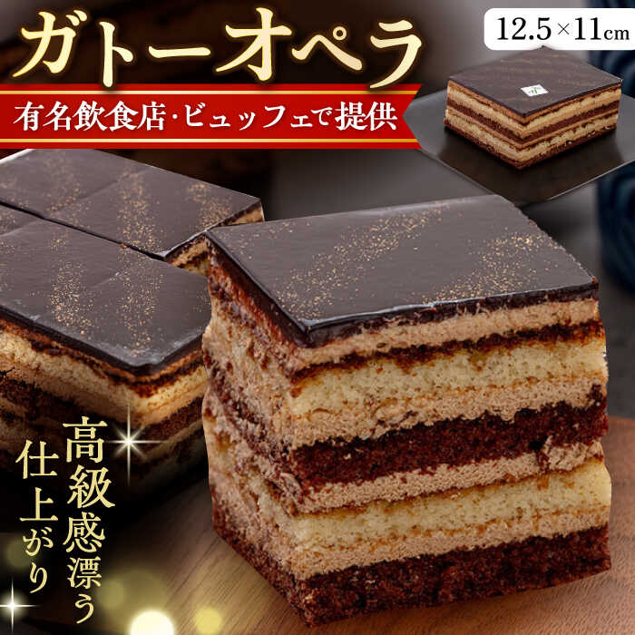【ふるさと納税】勝又登シェフ監修 ガトー・オペラ 1台 （12.5×11cm） ケーキ 洋菓子 コーヒー ココア チョコ モカ けーき お菓子 横須賀【ファミール製菓株式会社】[AKCI003] 10000円 1万円のサムネイル