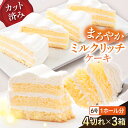 【ふるさと納税】ドルチェケーキ ミルクリッチ ケーキ 計12個(4個×3箱)カットケーキ デザート スイーツ ミルクケーキ 洋菓子 ミックス粉不使用 6~8人分...