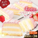 【ふるさと納税】ドルチェケーキ ベリー&ミルク ケーキ 計12個(4個×3箱)ケーキ 人気 スイーツ デザート カットケーキ 6~8人分 冷凍便【ファミール製菓...