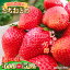 thum1