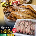【ふるさと納税】【全3回定期便】漁師町佐島 真アジの開き 約2.8kgセット 干物 横須賀 国産 大人気 天然塩仕立て 魚 定期 冷凍【石川水産】[AKCX00...