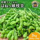 【ふるさと納税】【先行予約】【数量限定】はねっ娘枝豆 3kg(300g×10袋)神奈川 横須賀 枝豆 冷蔵 農家直送 新鮮 幻 希少 あまおとめ 濃厚【有限会社...