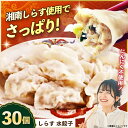 【ふるさと納税】【テレビで紹介されました!】冷凍 しらす 水餃子 30個 ジューシー モチモチ 自家製 餃子 ぎょうざ 湘南 シラス ブランド【横須賀商工会議所...