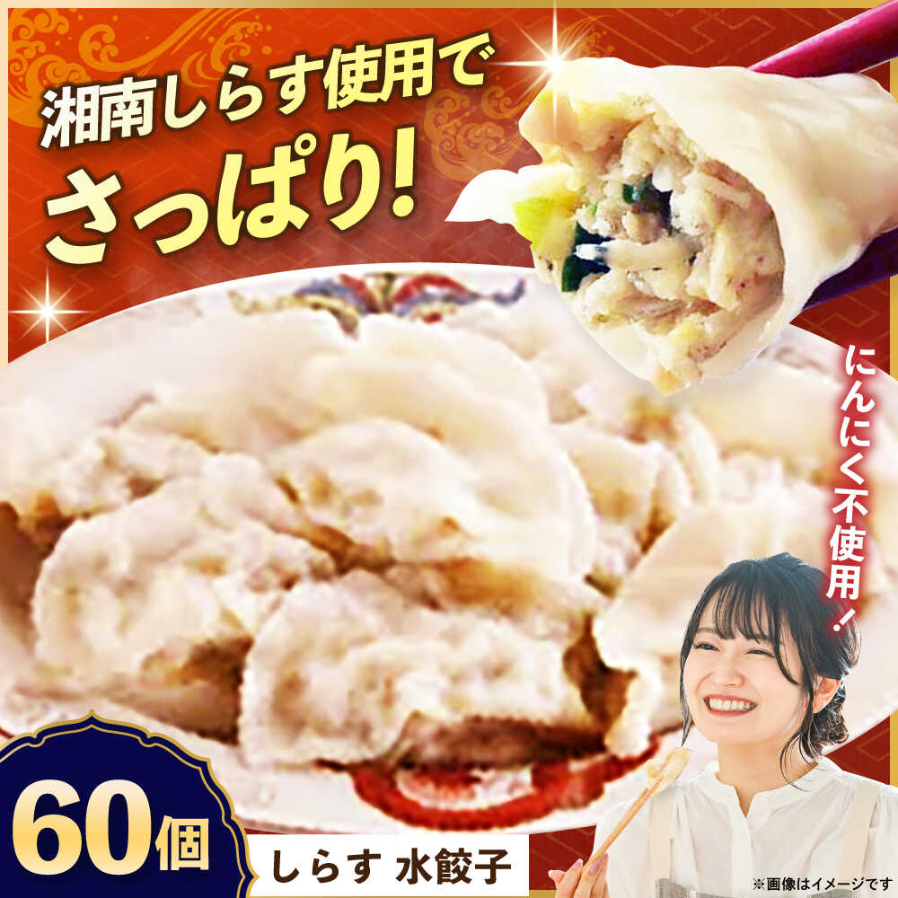 【ふるさと納税】【テレビで紹介されました!】冷凍 しらす 水餃子 60個 ジューシー モチモチ 自家製 餃子 ぎょうざ 湘南 シラス ブランド【横須賀商工会議所...