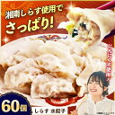 【ふるさと納税】【テレビで紹介されました!】冷凍 しらす 水餃子 60個 ジューシー モチモチ 自家製 餃子 ぎょうざ 湘南 シラス ブランド【横須賀商工会議所...