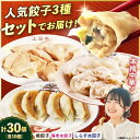 【ふるさと納税】【テレビで紹介されました!】冷凍 海老水餃子 しらす水餃子 焼餃子 3種 30個 ジューシー モチモチ 自家製 餃子 ぎょうざ【横須賀商工会議所...