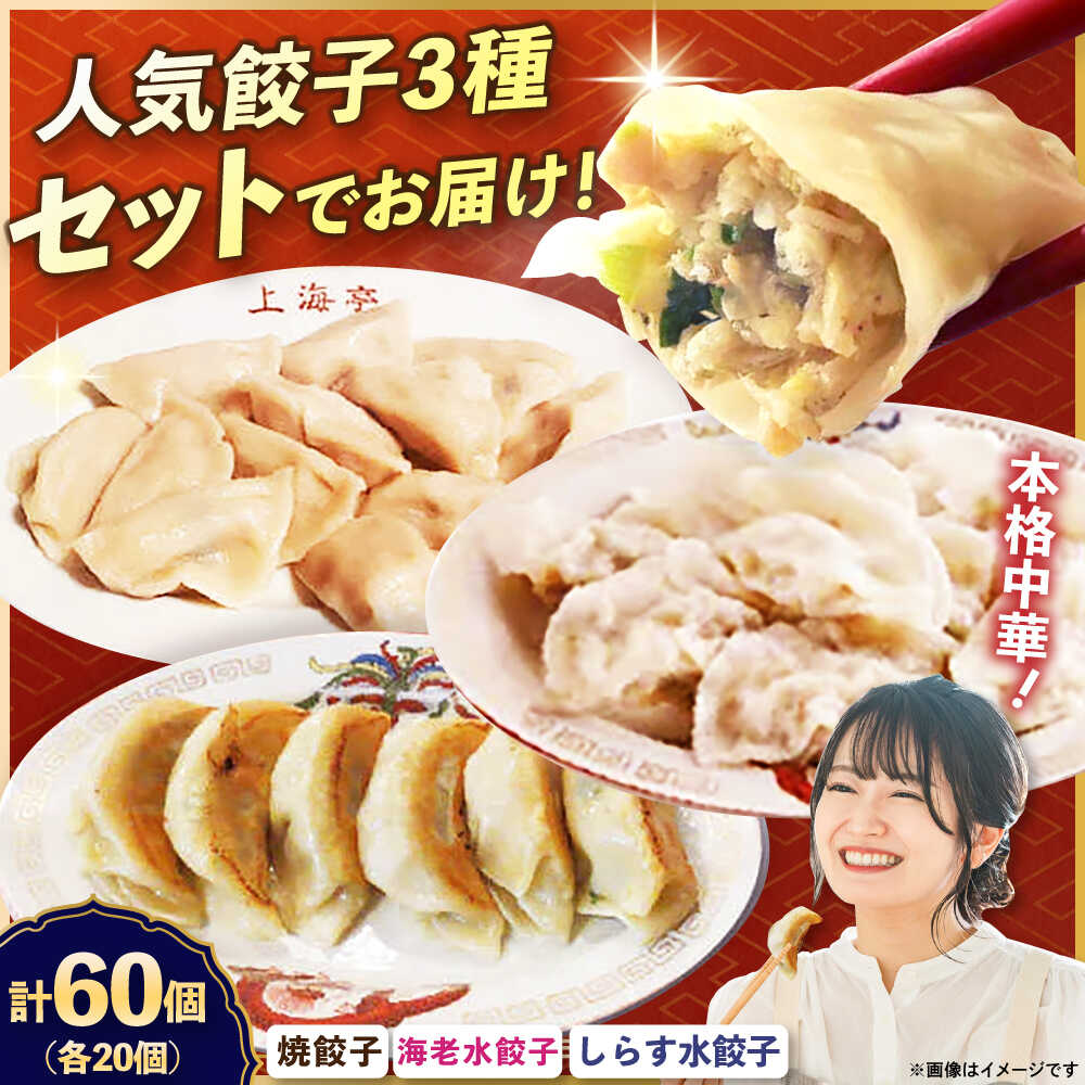 【ふるさと納税】【テレビで紹介されました!】冷凍 海老水餃子 しらす水餃子 焼餃子 3種 60個 ジューシー モチモチ 自家製 餃子 ぎょうざ【横須賀商工会議所...