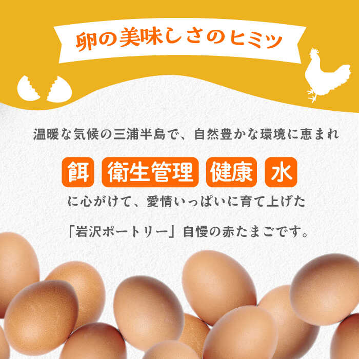 【ふるさと納税】餌にこだわった三浦半島産赤たまご　20個　【横須賀商工会議所　おもてなしギフト事務局（岩沢ポートリー）】[AKET003]