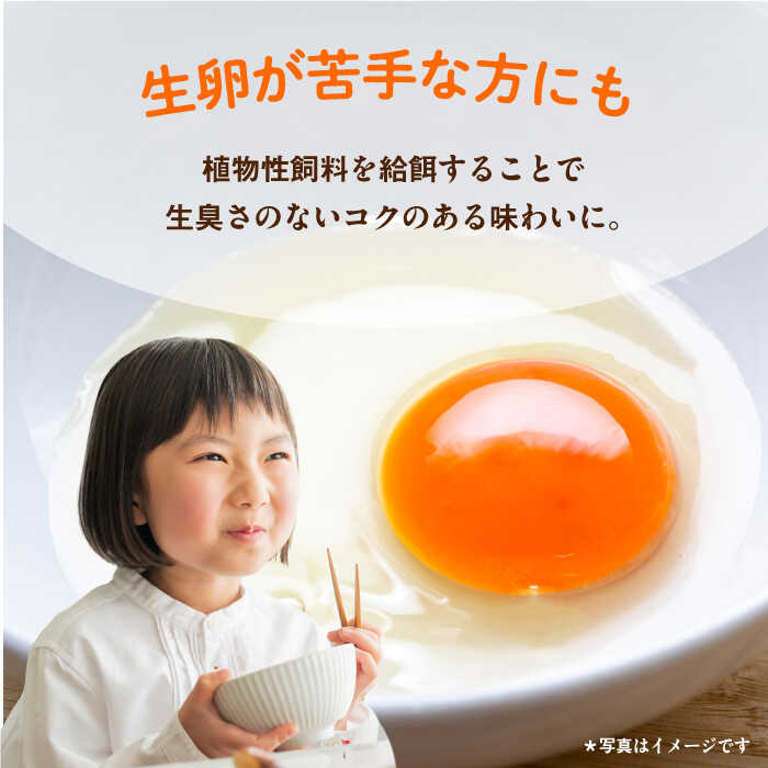 【ふるさと納税】餌にこだわった三浦半島産赤たまご　20個　【横須賀商工会議所　おもてなしギフト事務局（岩沢ポートリー）】[AKET003]