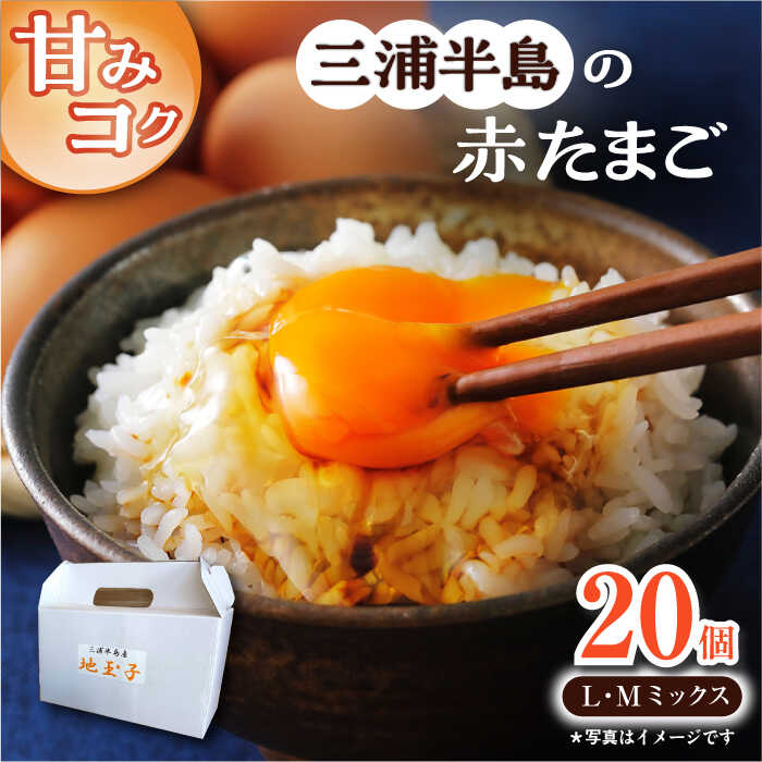 【ふるさと納税】餌にこだわった三浦半島産赤たまご　20個　【横須賀商工会議所　おもてなしギフト事務局（岩沢ポートリー）】[AKET003]