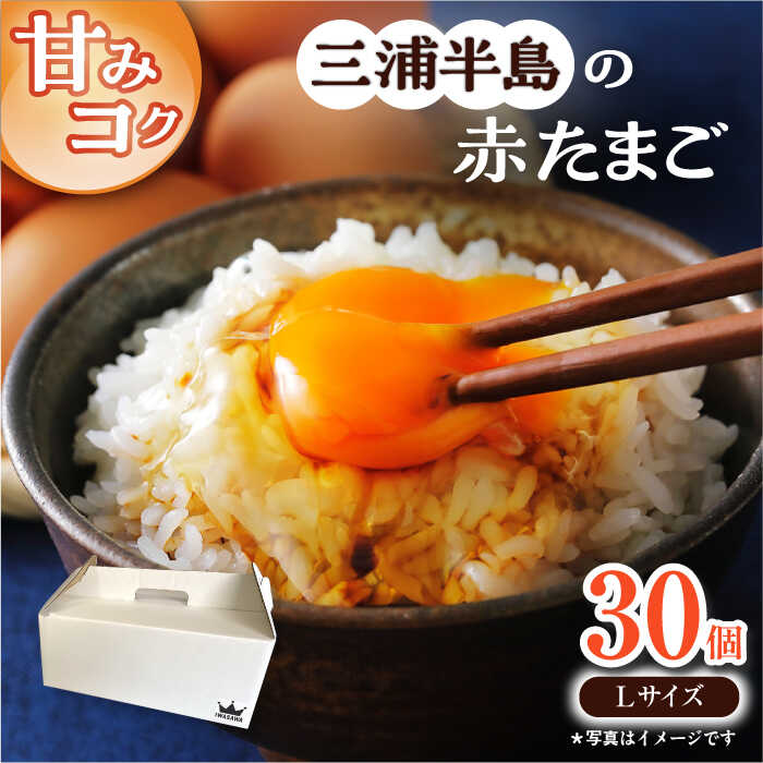 【ふるさと納税】餌にこだわった三浦半島産赤たまご　30個　【横須賀商工会議所　おもてなしギフト事務局（岩沢ポートリー）】[AKET004]