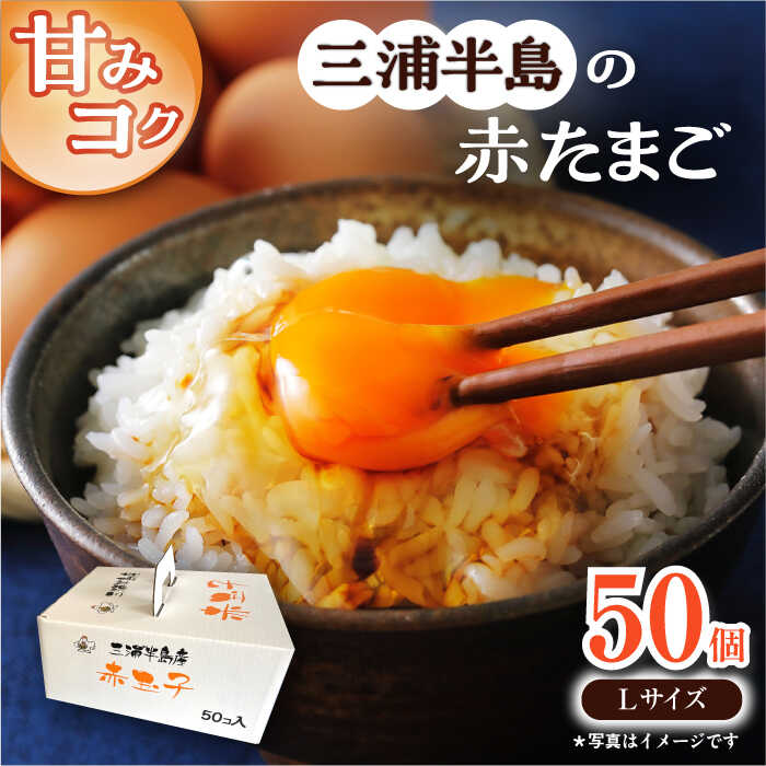 【ふるさと納税】餌にこだわった三浦半島産赤たまご　50個　【横須賀商工会議所　おもてなしギフト事務局（岩沢ポートリー）】[AKET005]