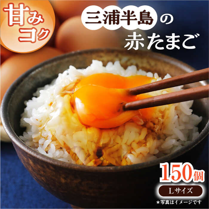 【ふるさと納税】餌にこだわった三浦半島産赤たまご　Lサイズ10kg（約150個）　【横須賀商工会議所　おもてなしギフト事務局（岩沢ポートリー）】[AKET006]