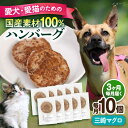 【ふるさと納税】【全3回定期便】ペットフード 三崎マグロ 100%ハンバーグ 10個セット ペット 愛犬 愛猫 おやつ ご褒美 ごはん 猫 犬 てづくり 国産 ...