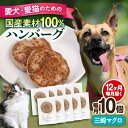 【ふるさと納税】【全12回定期便】ペットフード 三崎マグロ 100%ハンバーグ 10個セット ペット 愛犬 愛猫 おやつ ご褒美 ごはん 猫 犬 てづくり 国産...
